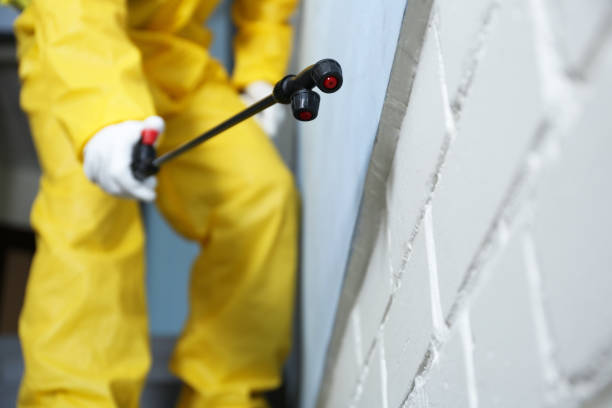 Best Pest Exclusion Services  in Alderwood Manor, WA